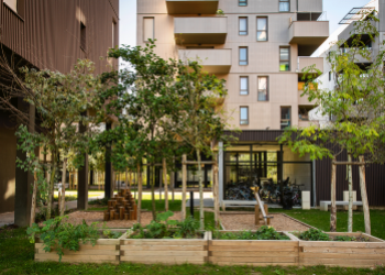 Vue de logements avec un jardin partagé en premier plan