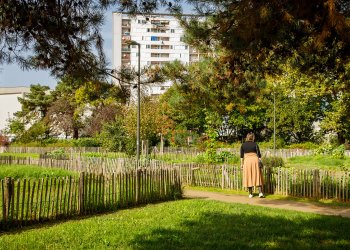 Parc du Grand Parc, octobre 2024